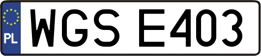 WGSE403