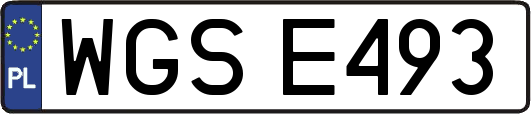 WGSE493