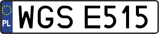 WGSE515