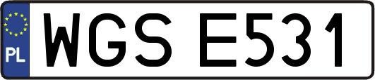 WGSE531