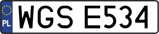 WGSE534