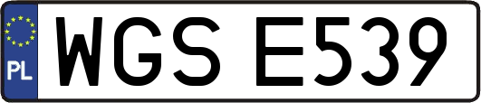 WGSE539