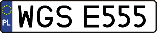 WGSE555