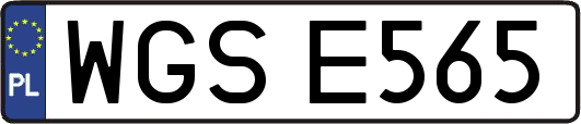 WGSE565