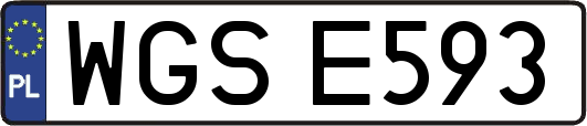 WGSE593