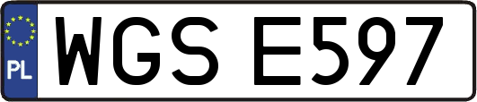 WGSE597