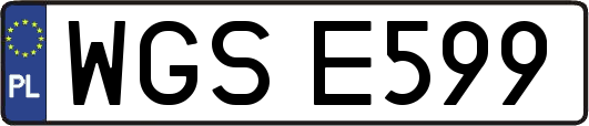 WGSE599