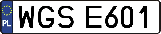 WGSE601
