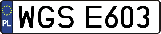 WGSE603