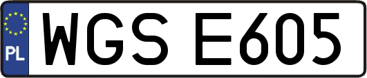 WGSE605