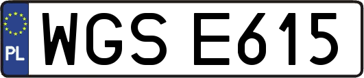 WGSE615
