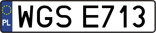 WGSE713