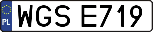 WGSE719