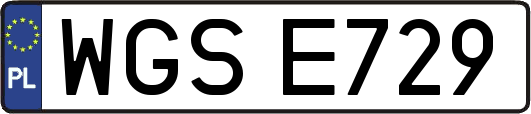 WGSE729