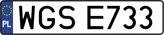 WGSE733