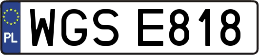 WGSE818