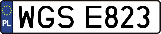 WGSE823
