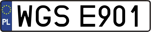 WGSE901