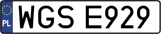WGSE929