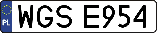 WGSE954
