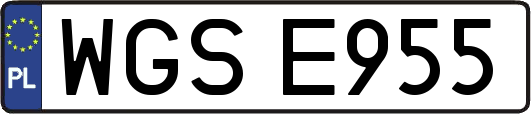 WGSE955