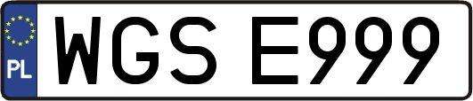 WGSE999