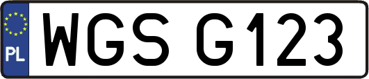 WGSG123