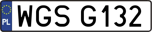 WGSG132