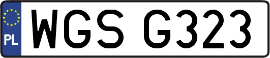 WGSG323