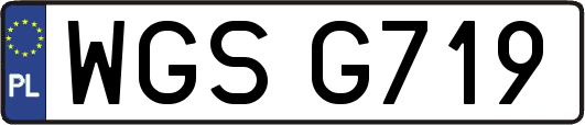 WGSG719
