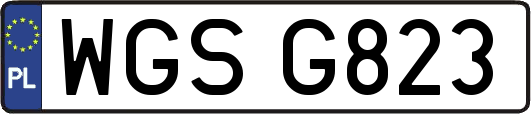 WGSG823