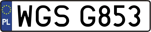 WGSG853