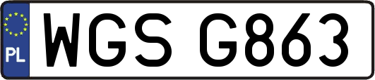 WGSG863