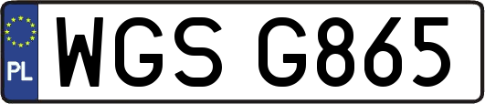 WGSG865