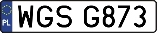 WGSG873