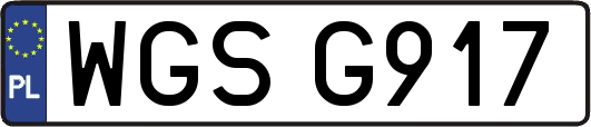 WGSG917