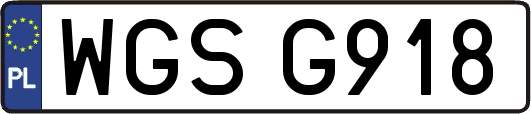 WGSG918