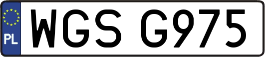 WGSG975