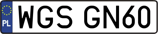 WGSGN60