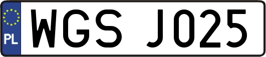 WGSJ025
