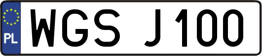 WGSJ100