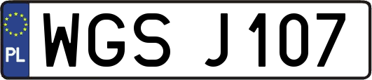 WGSJ107