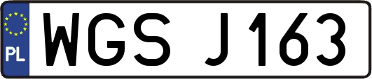 WGSJ163