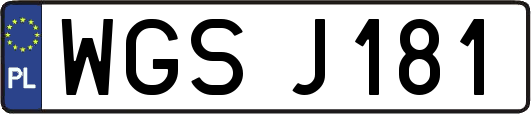 WGSJ181