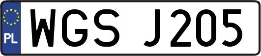 WGSJ205