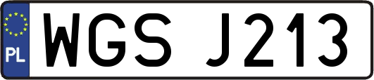 WGSJ213