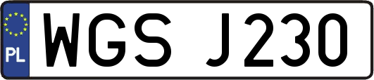 WGSJ230