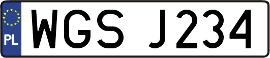 WGSJ234