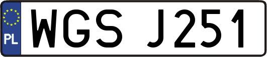 WGSJ251