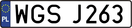 WGSJ263